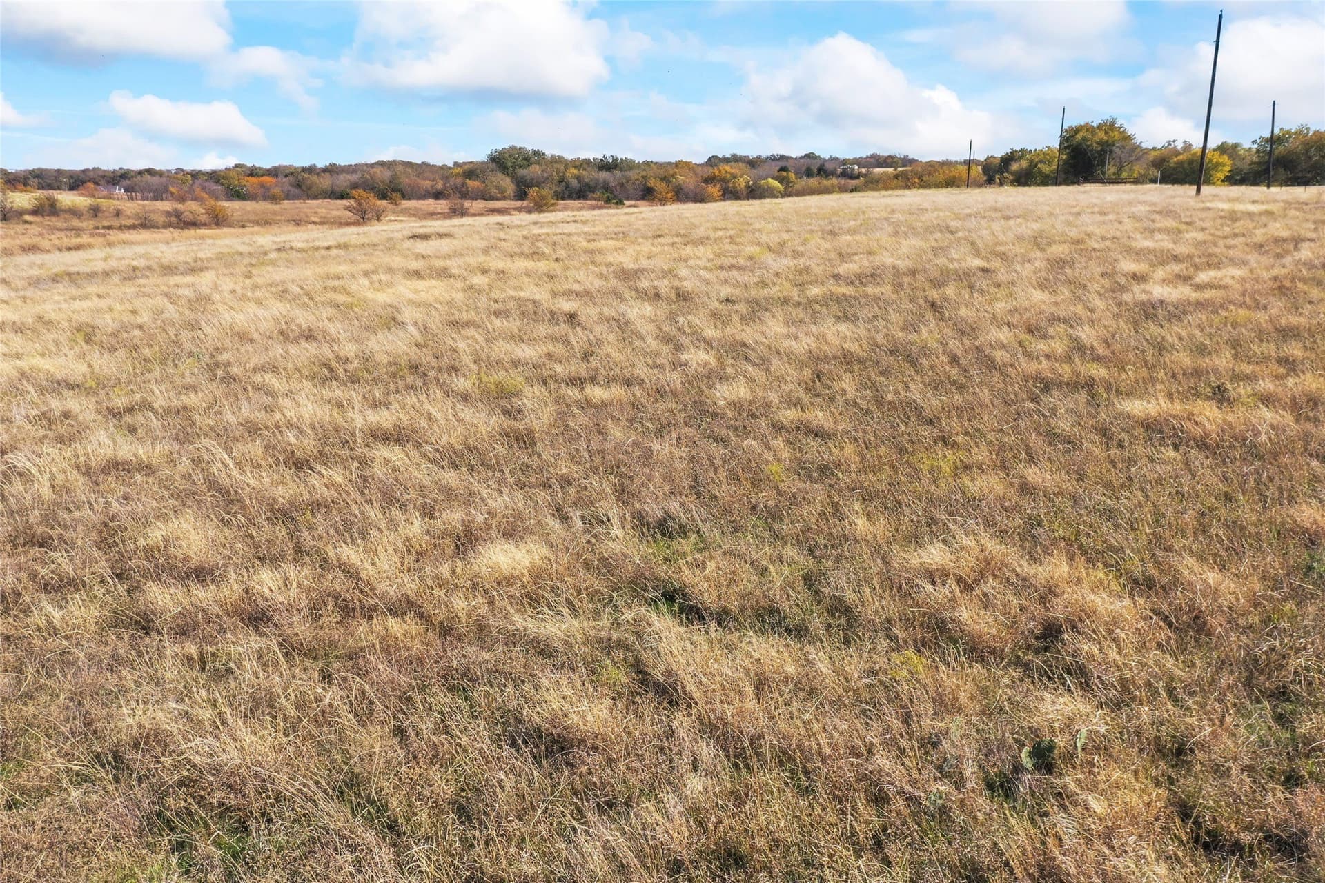 10.04 acres in Montague County - photo 25
