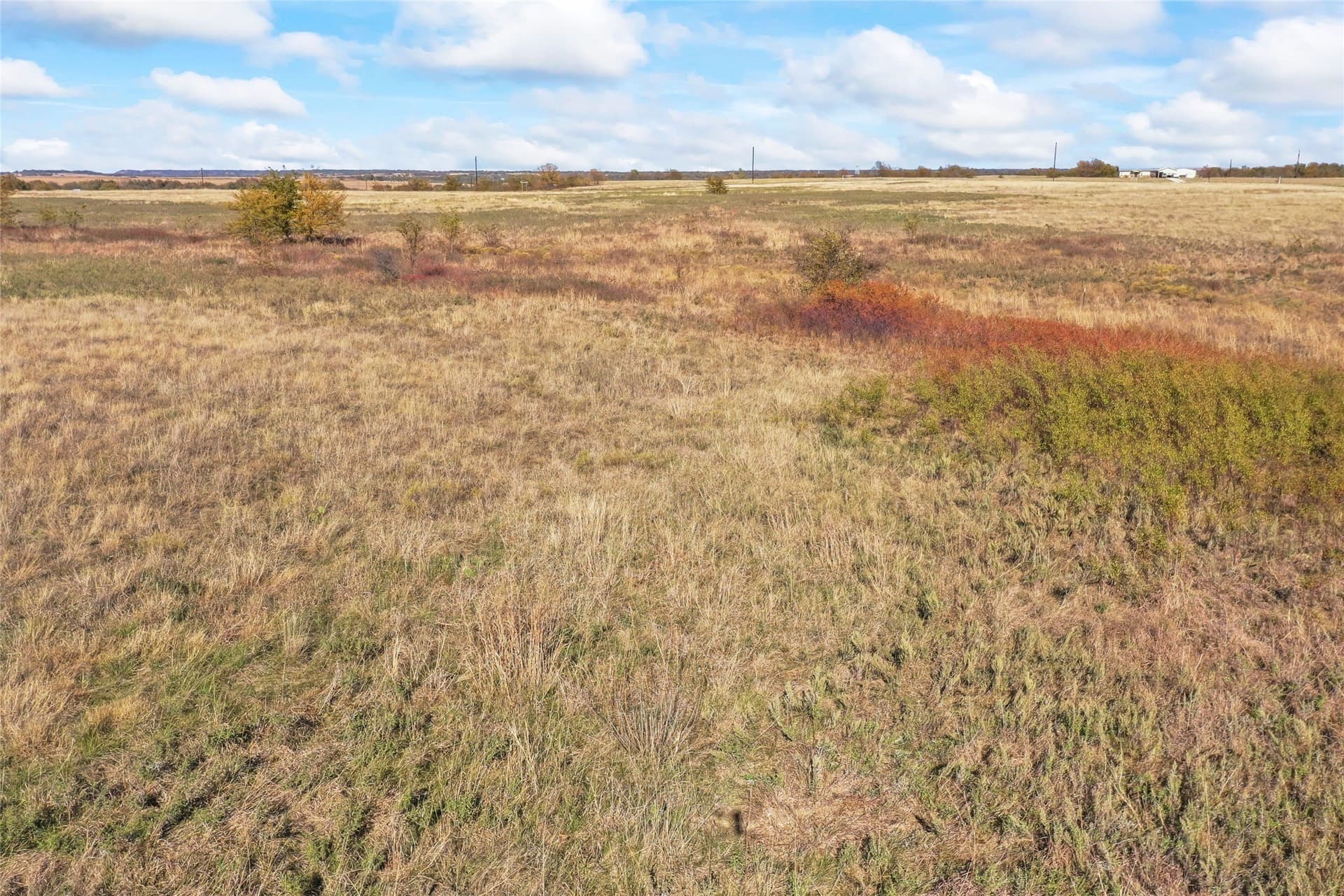 10.04 acres in Montague County - photo 27