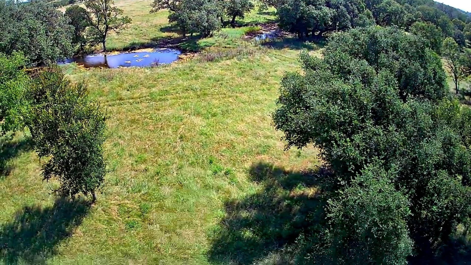 37.07 acres in San Saba County gallery image 3