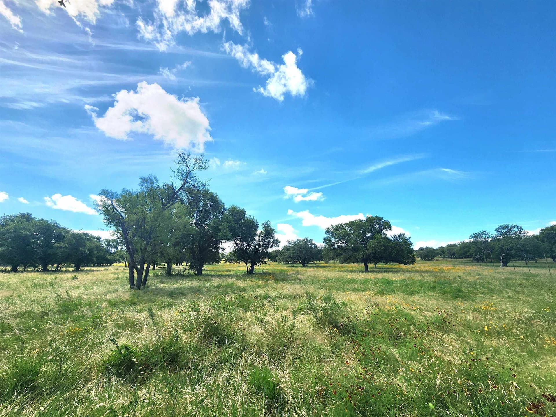 37.07 acres in San Saba County featured view