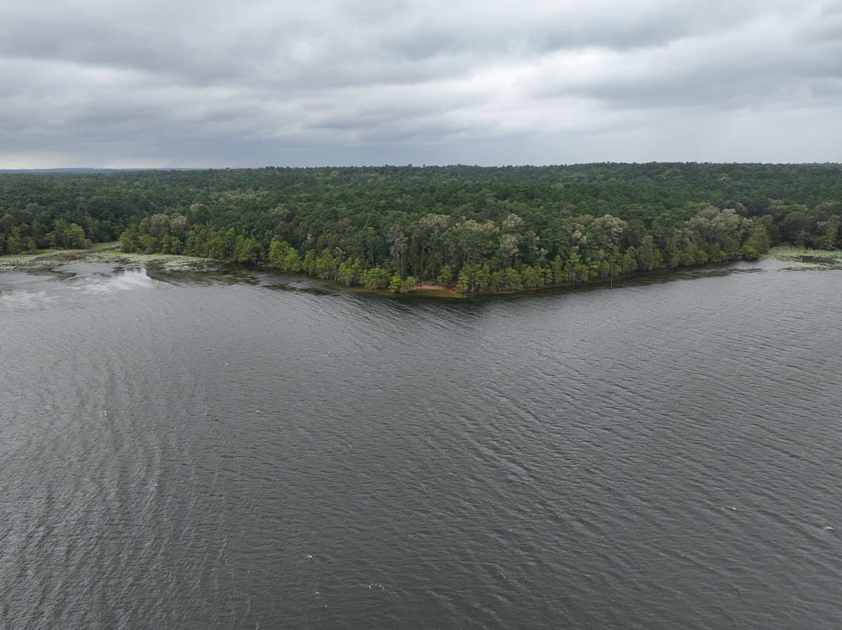 4.5 acres in Sabine (TX) County - photo 29