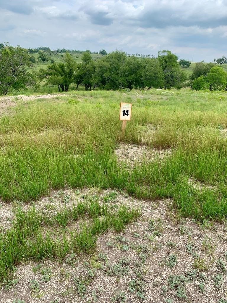 3.29 acres in Gillespie County gallery image 4