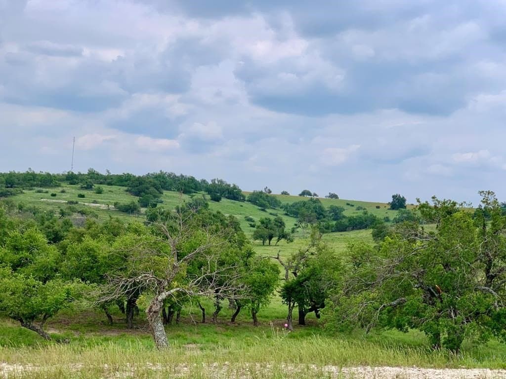 3.29 acres in Gillespie County featured view