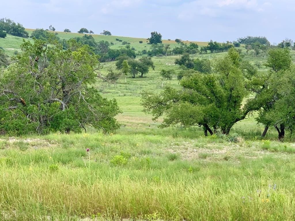 3.29 acres in Gillespie County - photo 7