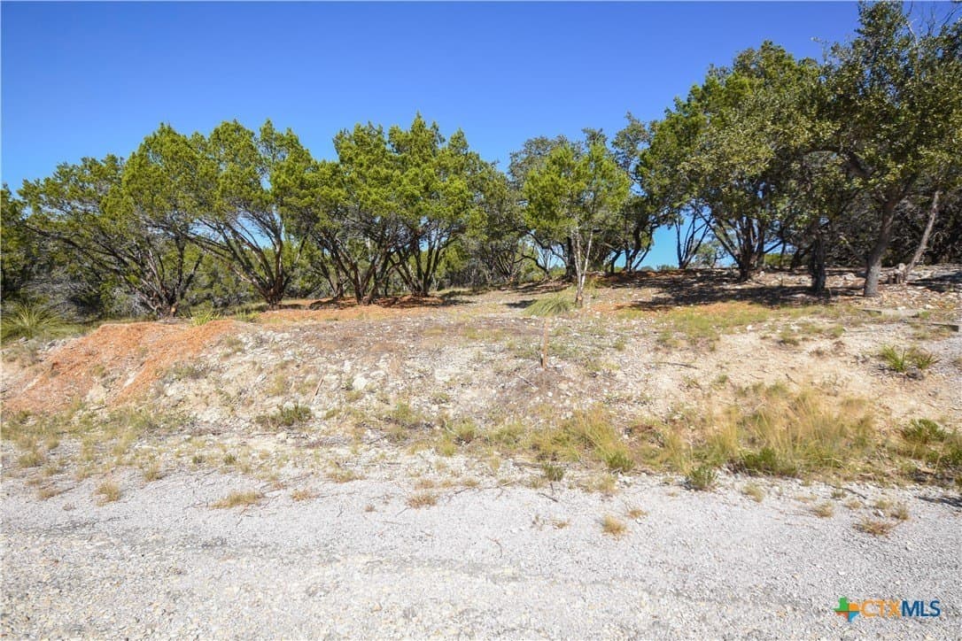 0.22 acres in Travis County gallery image 4