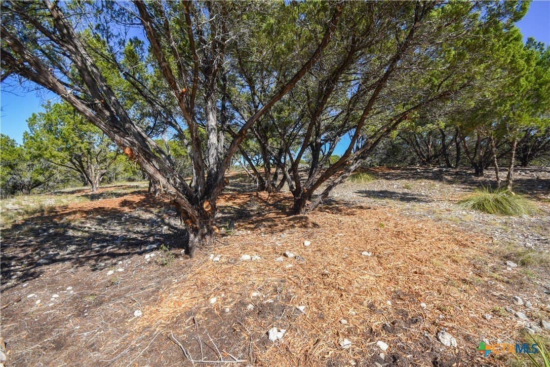 0.22 acres in Travis County gallery image 3