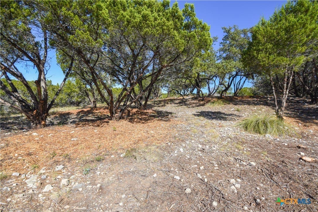 0.22 acres in Travis County gallery image 2