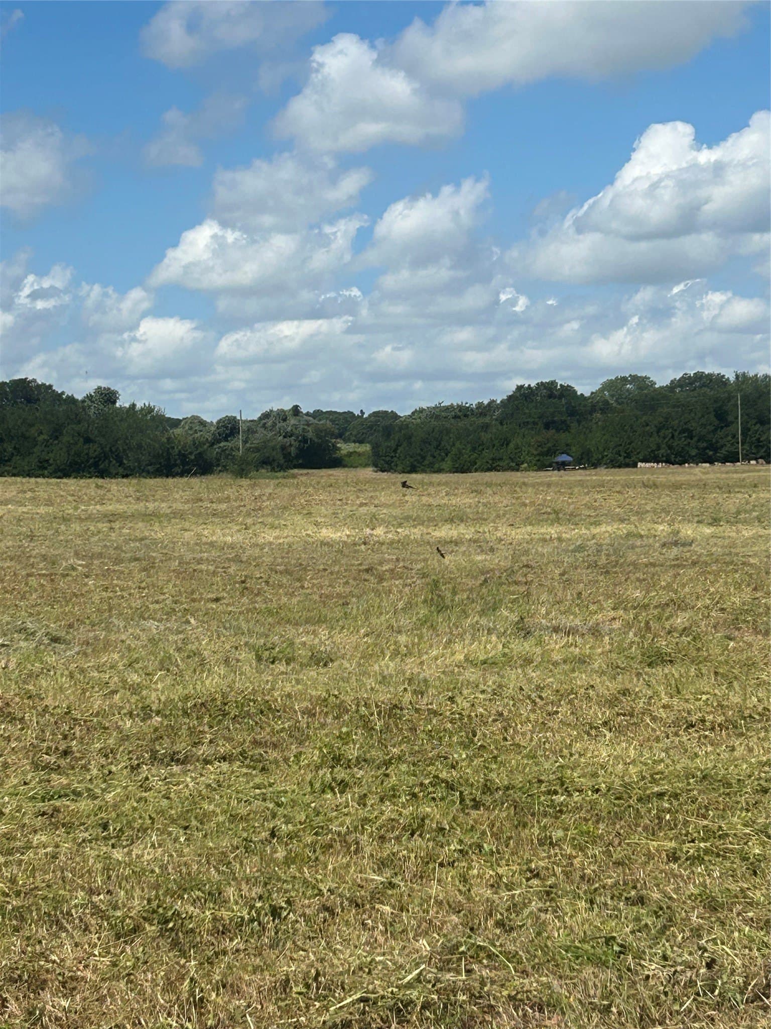 17.3 acres in Johnson County - photo 20