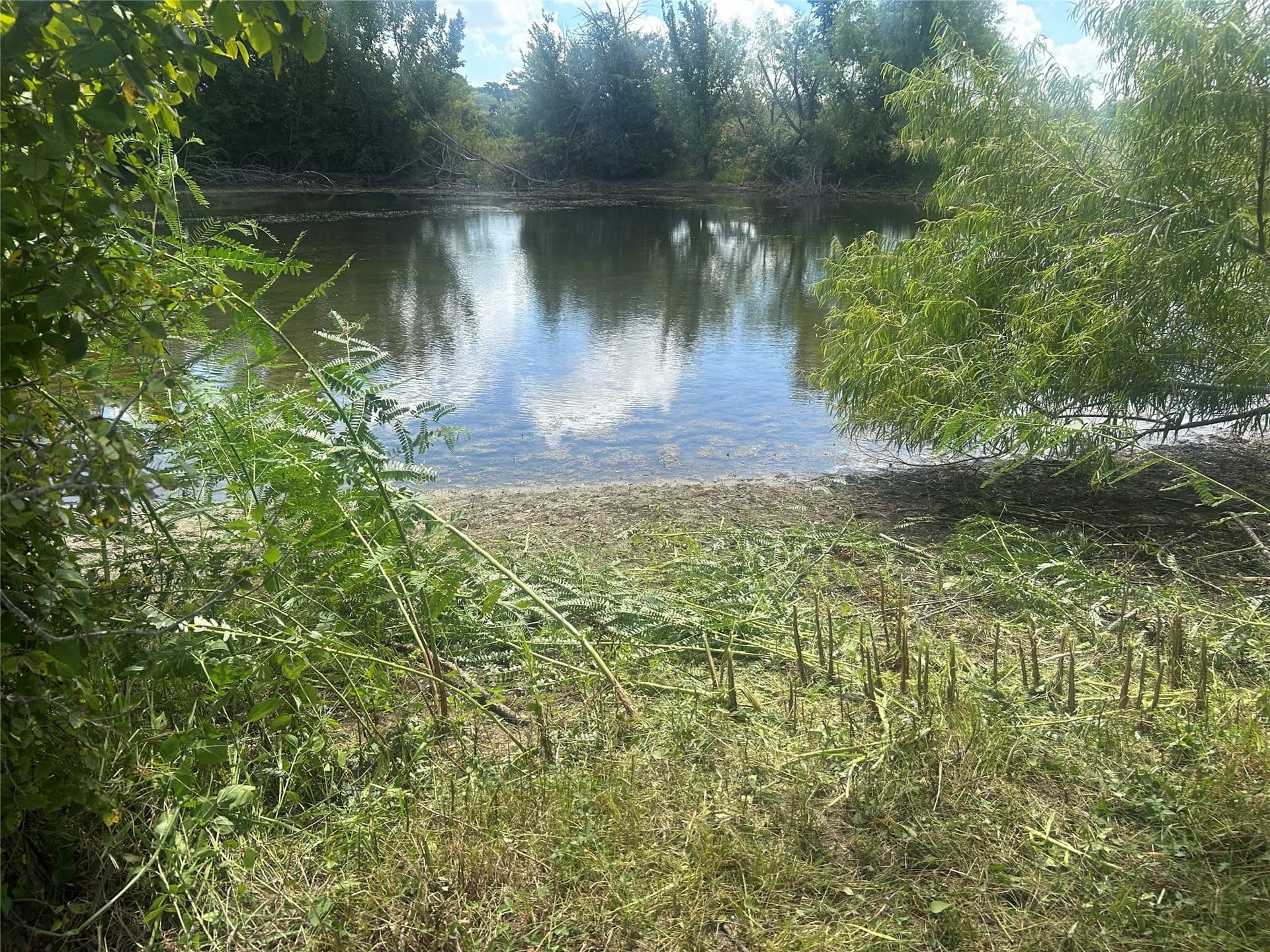 17.3 acres in Johnson County - photo 21