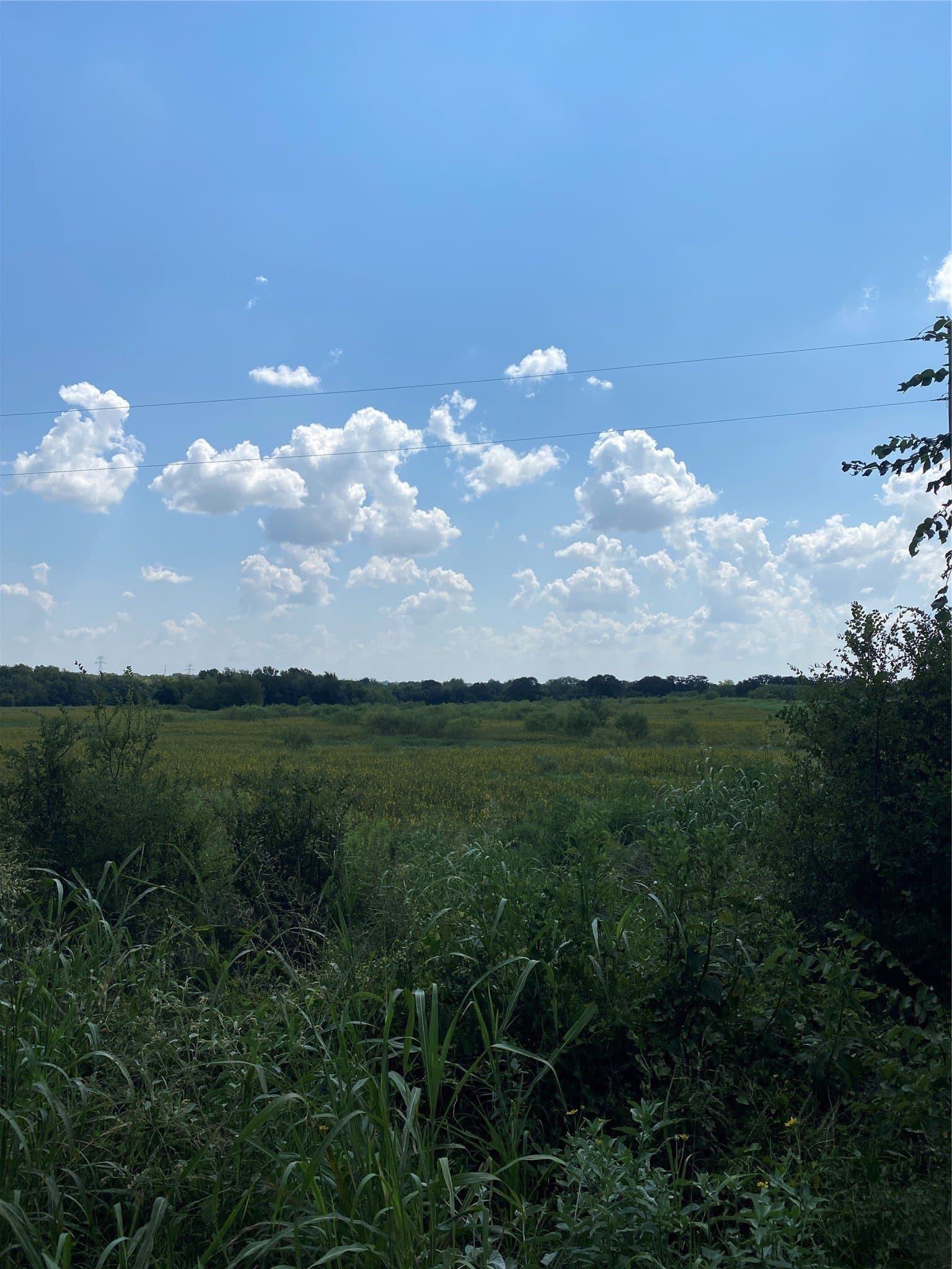 17.3 acres in Johnson County - photo 13