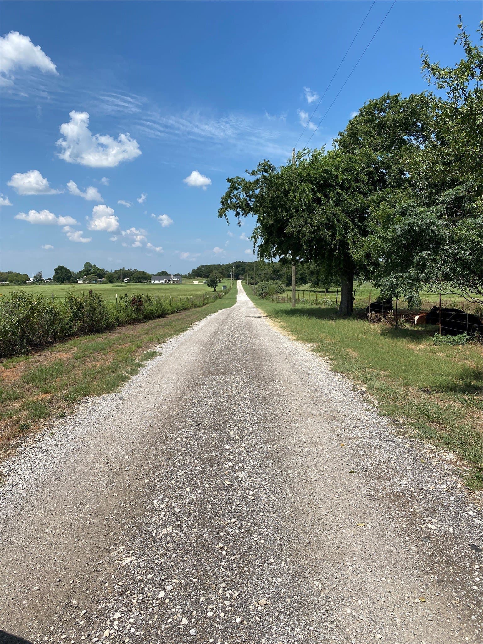 17.3 acres in Johnson County - photo 10