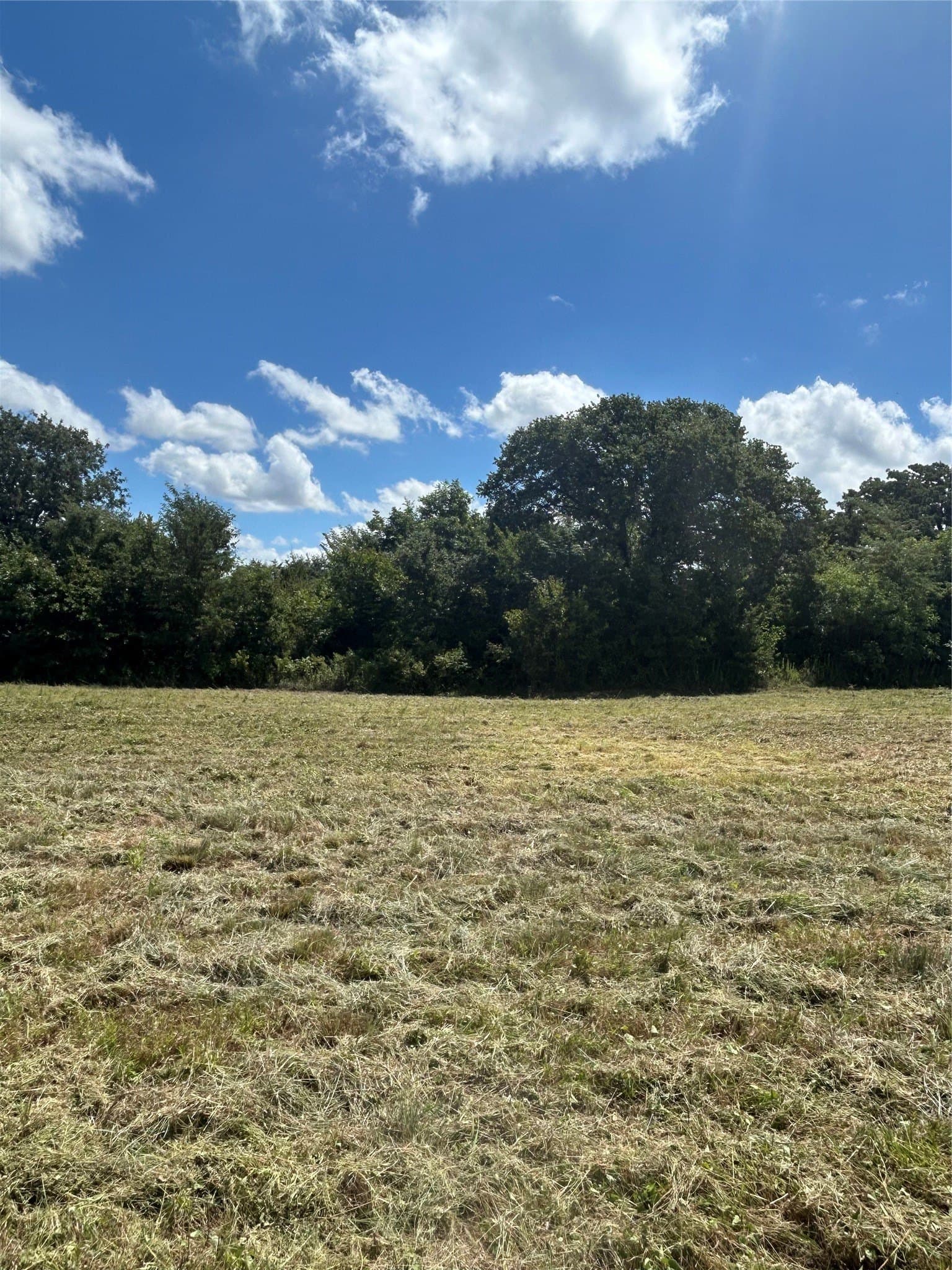 17.3 acres in Johnson County - photo 16