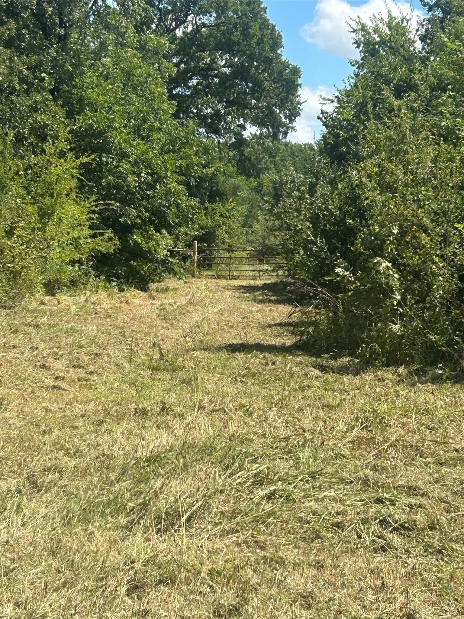 17.3 acres in Johnson County - photo 17