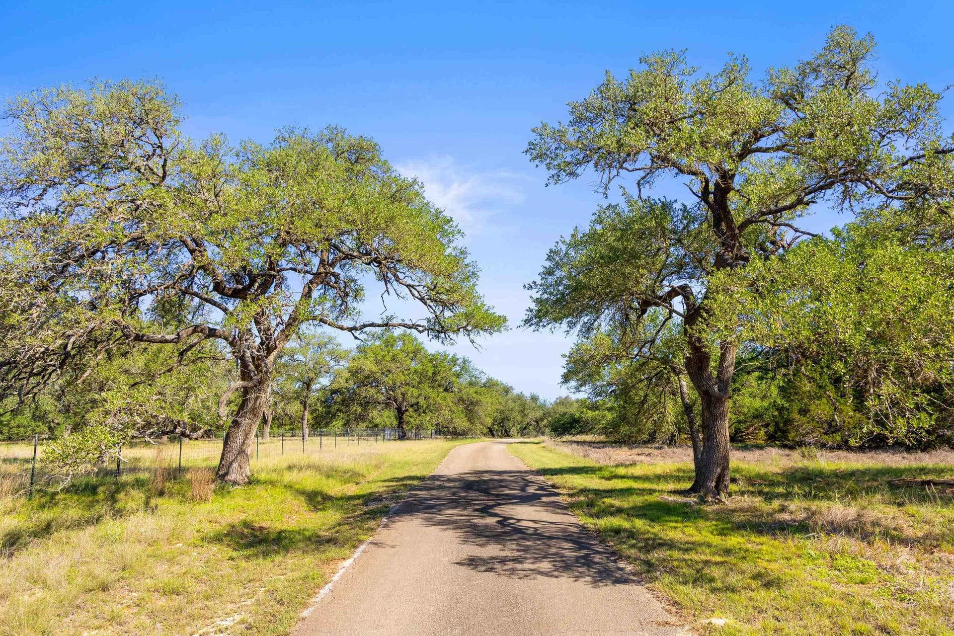 24.26 acres in Hays County gallery image 3