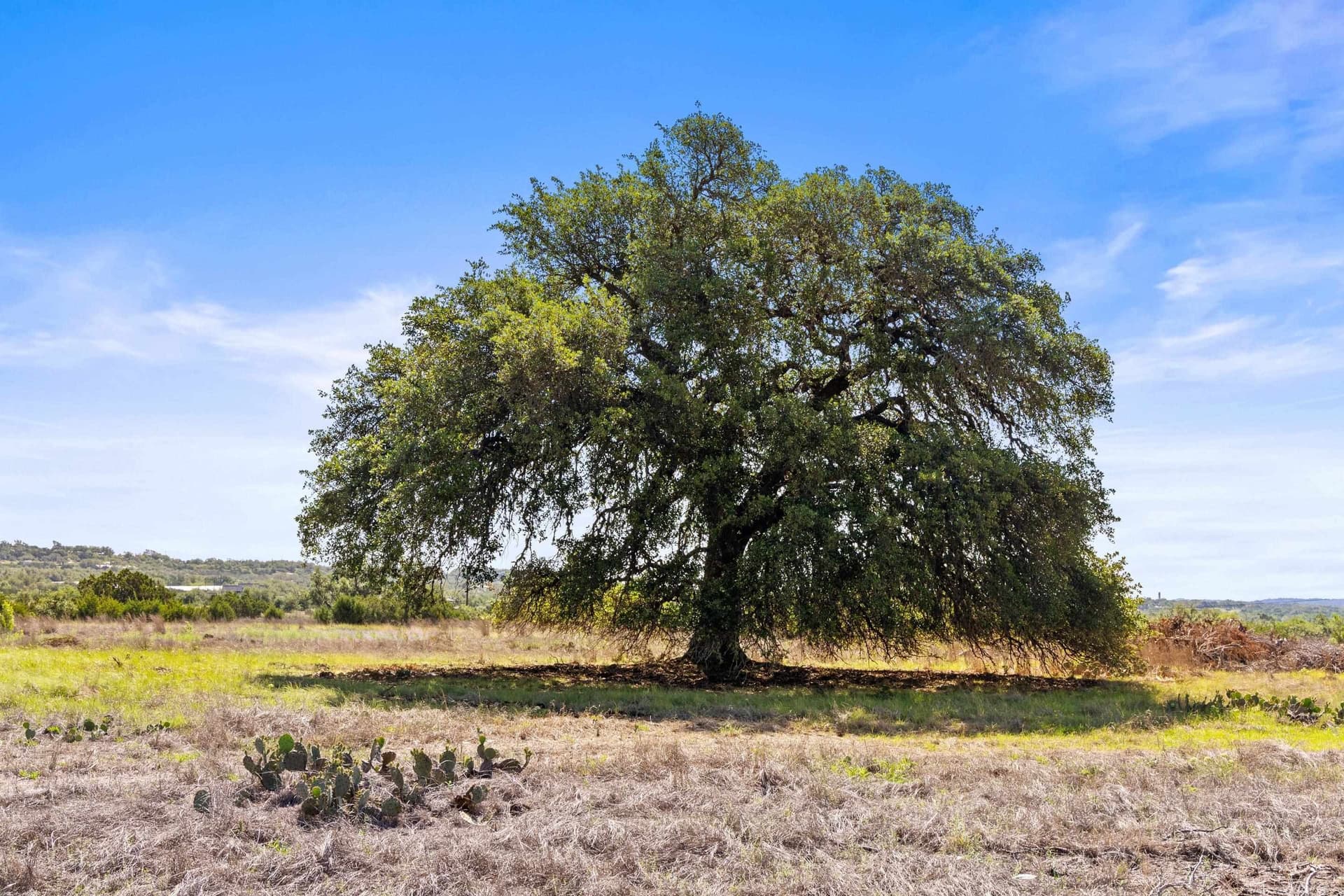 24.26 acres in Hays County featured view