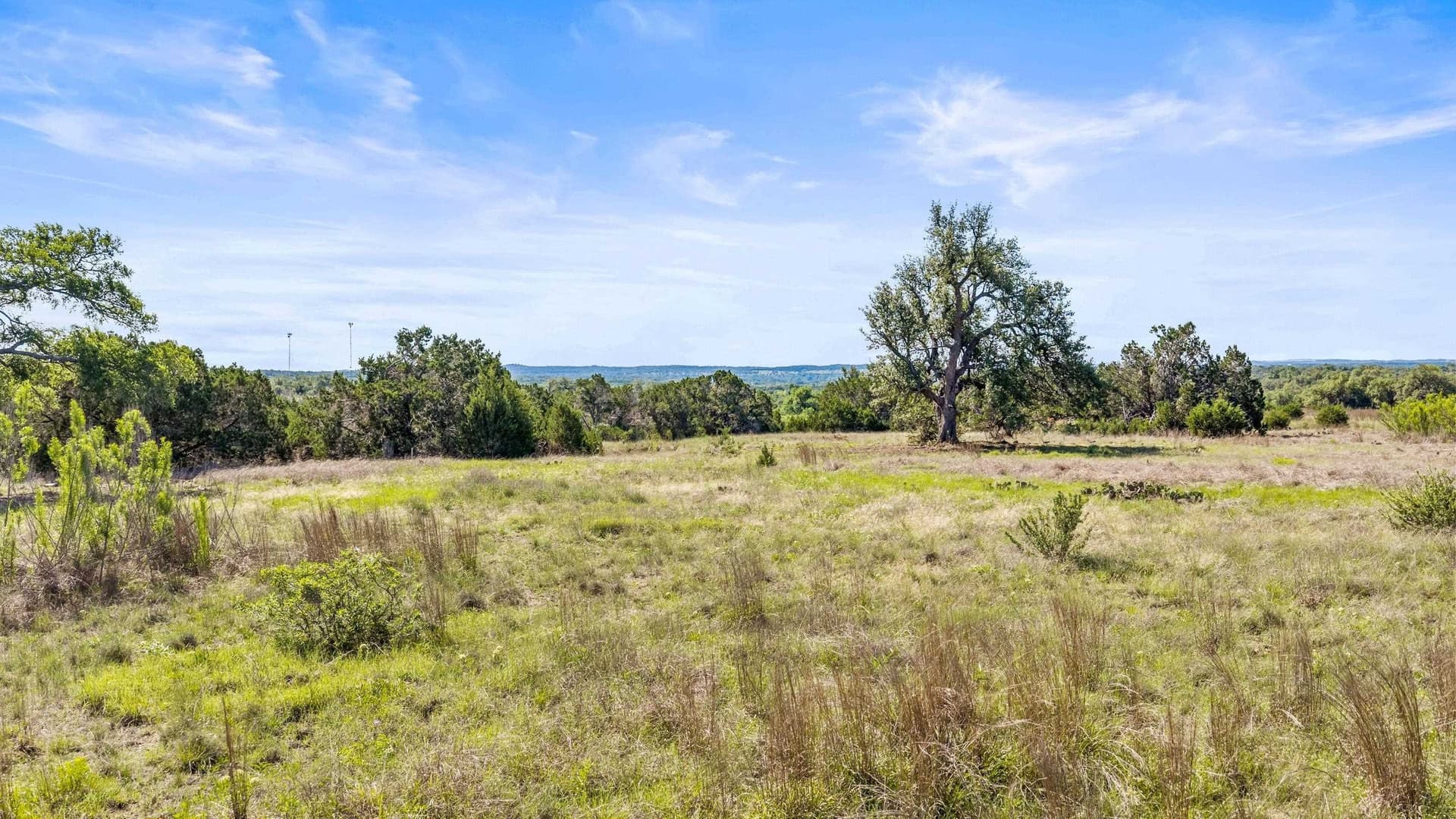 24.26 acres in Hays County gallery image 4