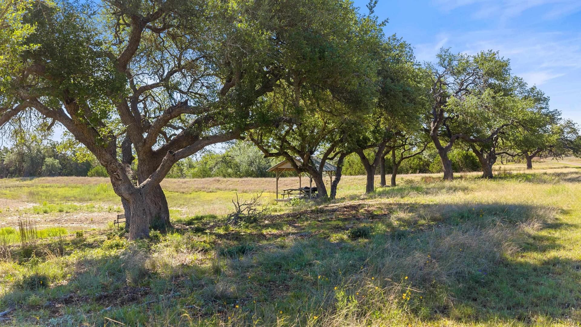 24.26 acres in Hays County - photo 14