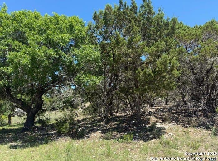 0.22 acres in Comal County gallery image 2