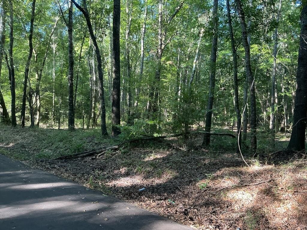 8.6 acres in ANDERSON County - photo 5