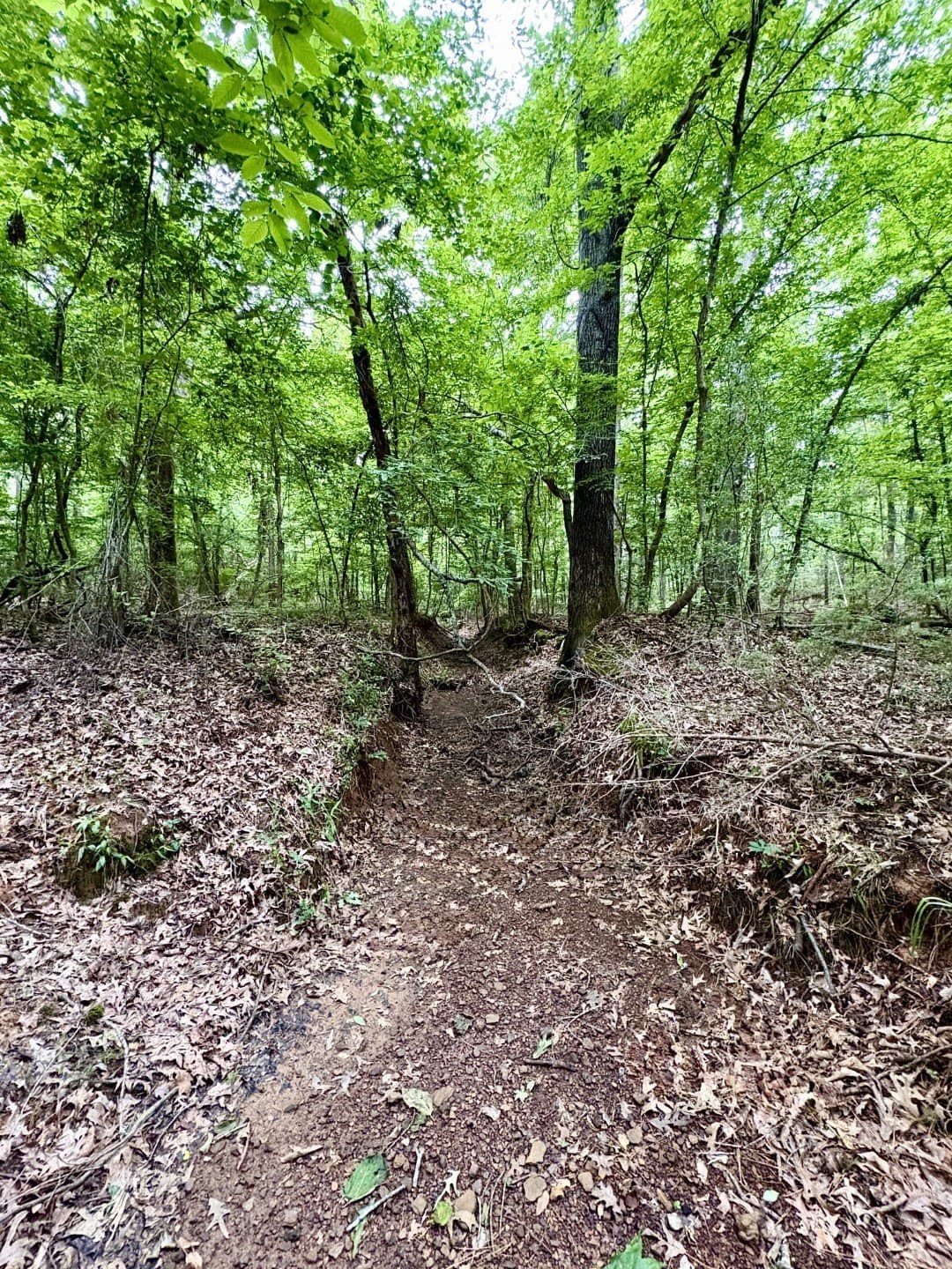 38.02 acres in Cherokee County - photo 2