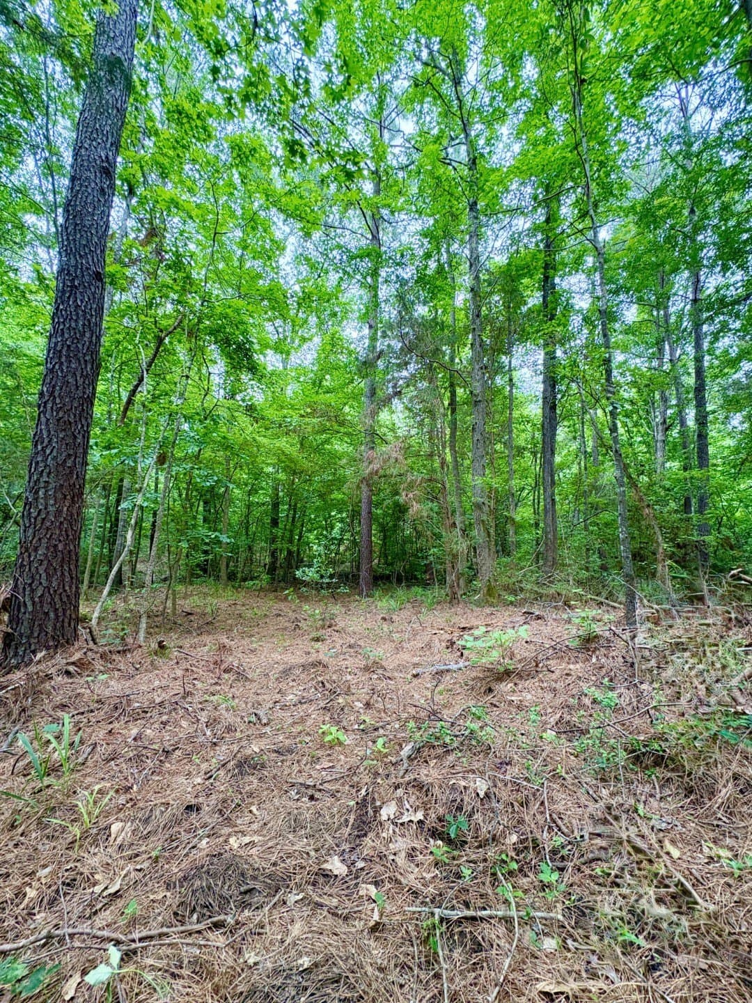 38.02 acres in Cherokee County - photo 10
