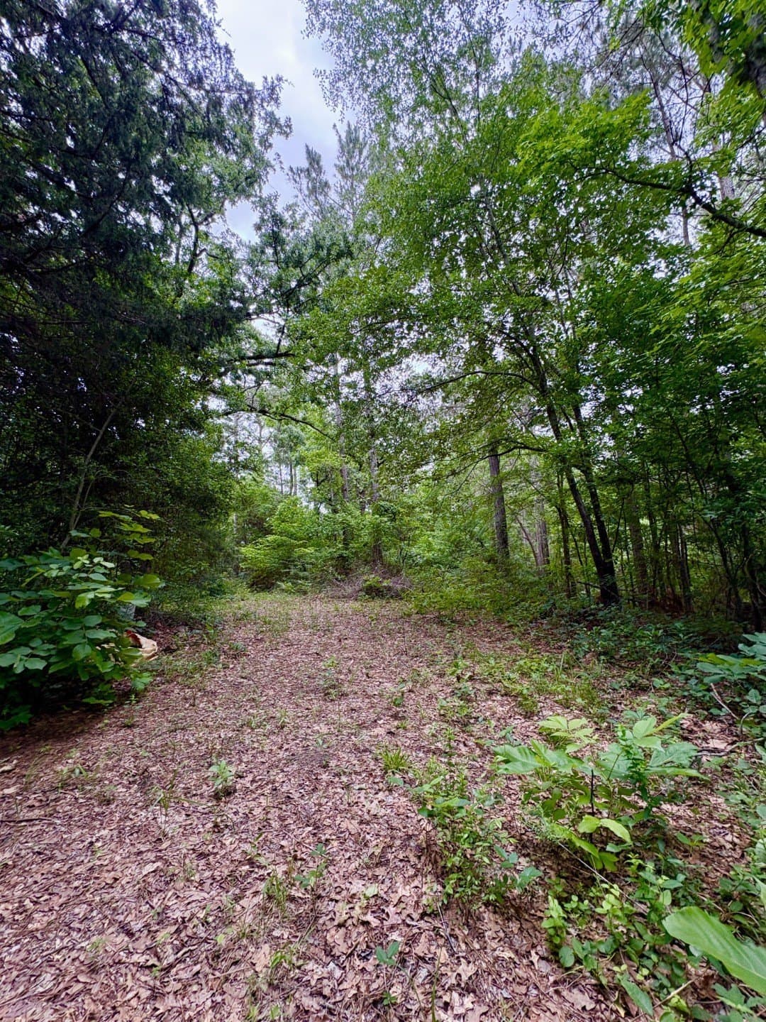 38.02 acres in Cherokee County - photo 5