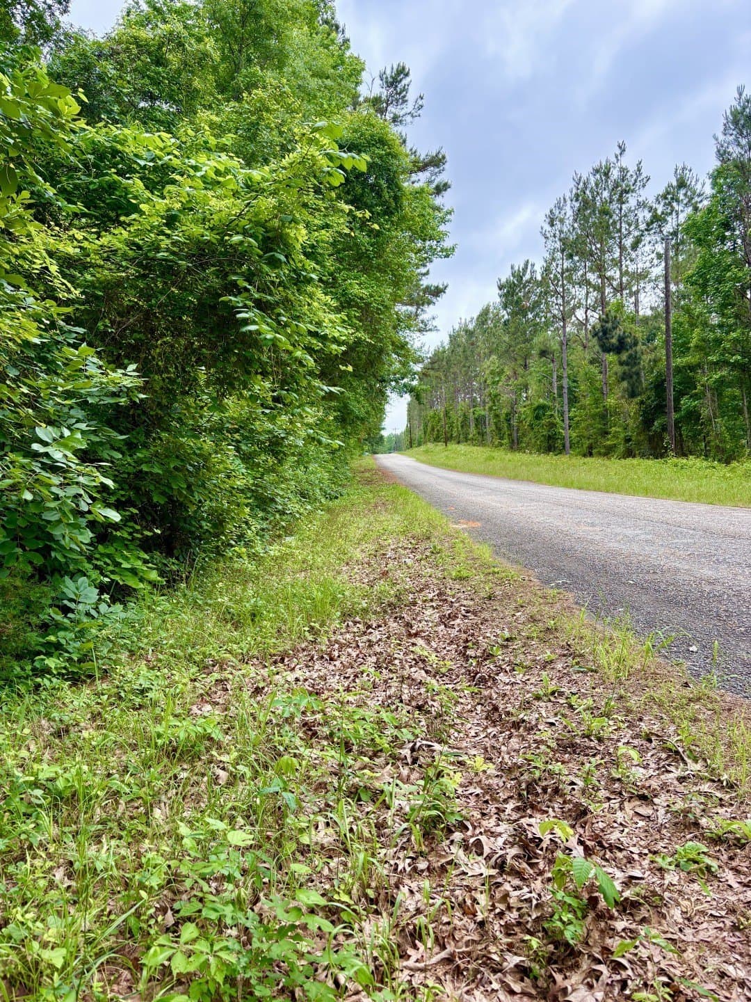 38.02 acres in Cherokee County - photo 6