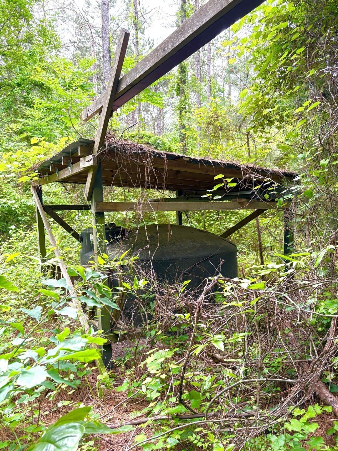 38.02 acres in Cherokee County - photo 4