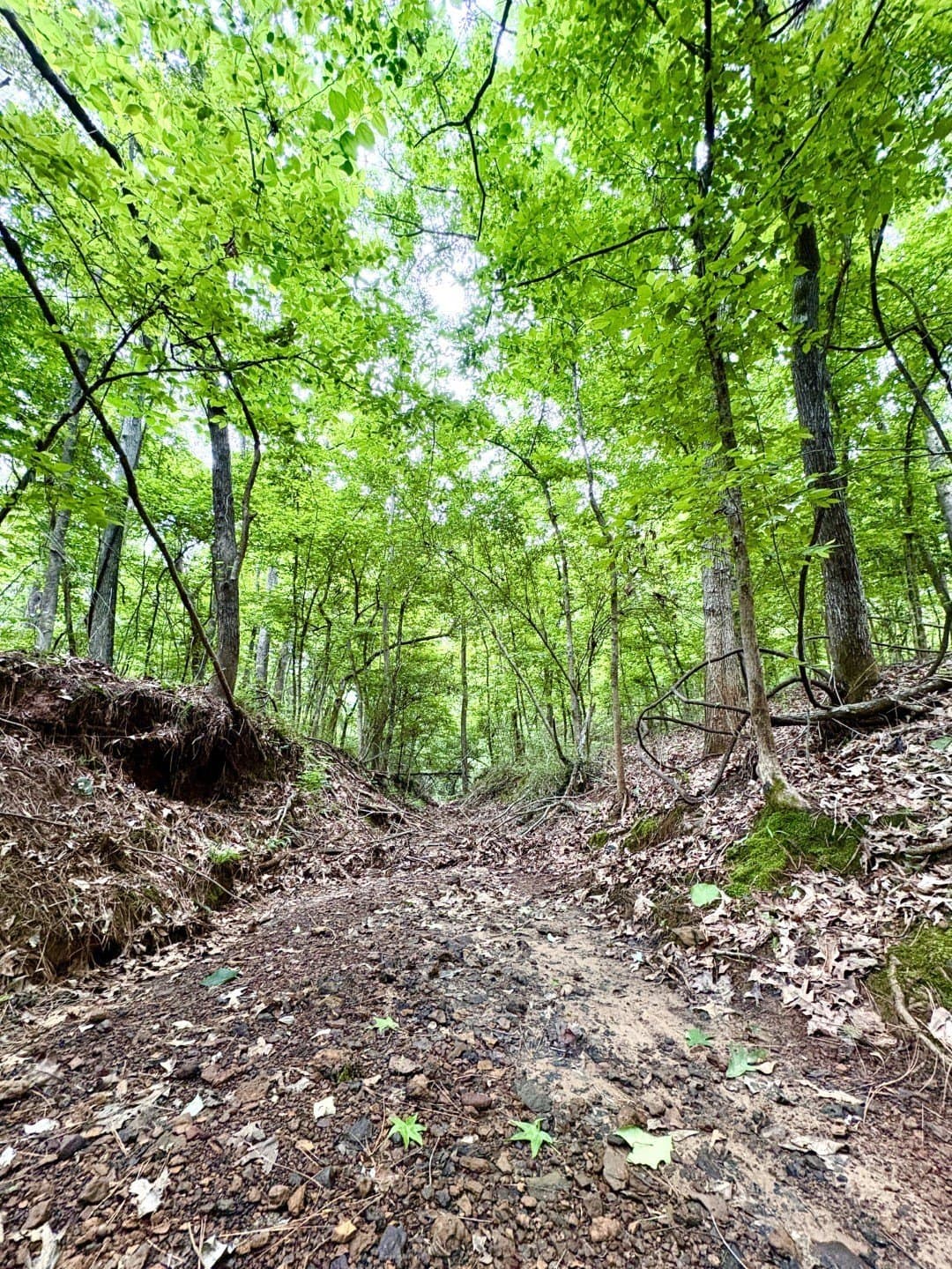 38.02 acres in Cherokee County - photo 7