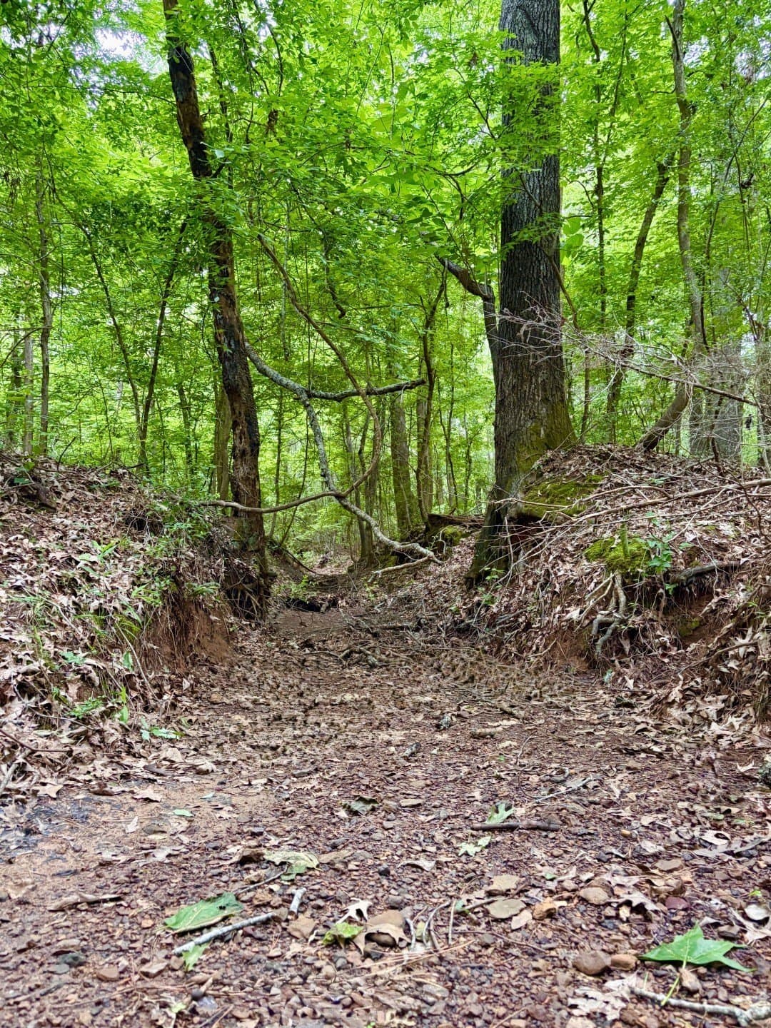 38.02 acres in Cherokee County - photo 8