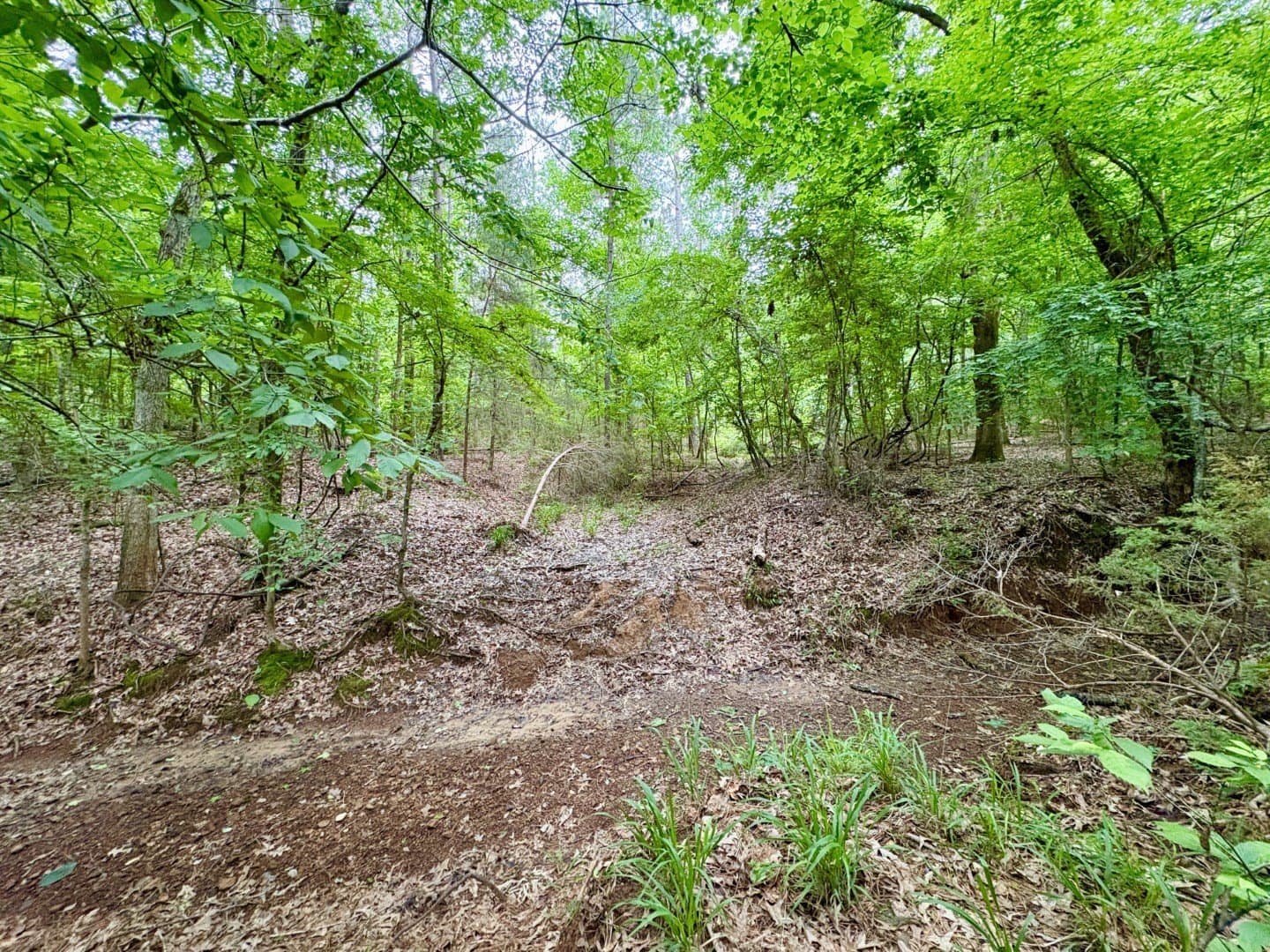 38.02 acres in Cherokee County - photo 9