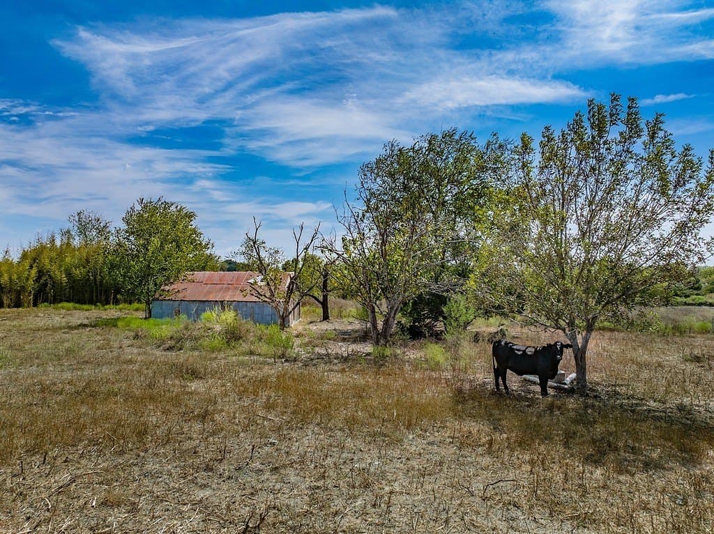 91.57 acres in Fayette County - photo 5
