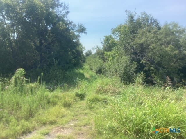 8.52 acres in Falls County gallery image 3