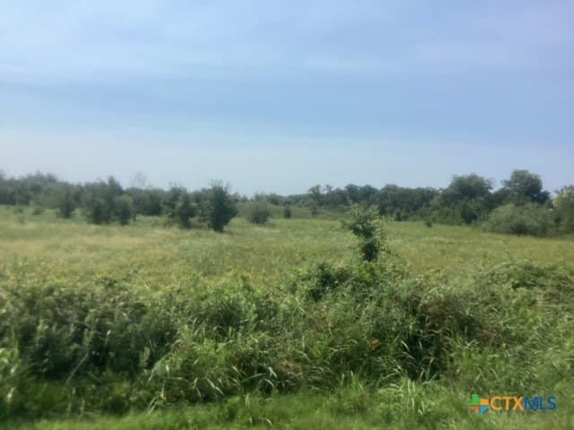 8.52 acres in Falls County gallery image 4