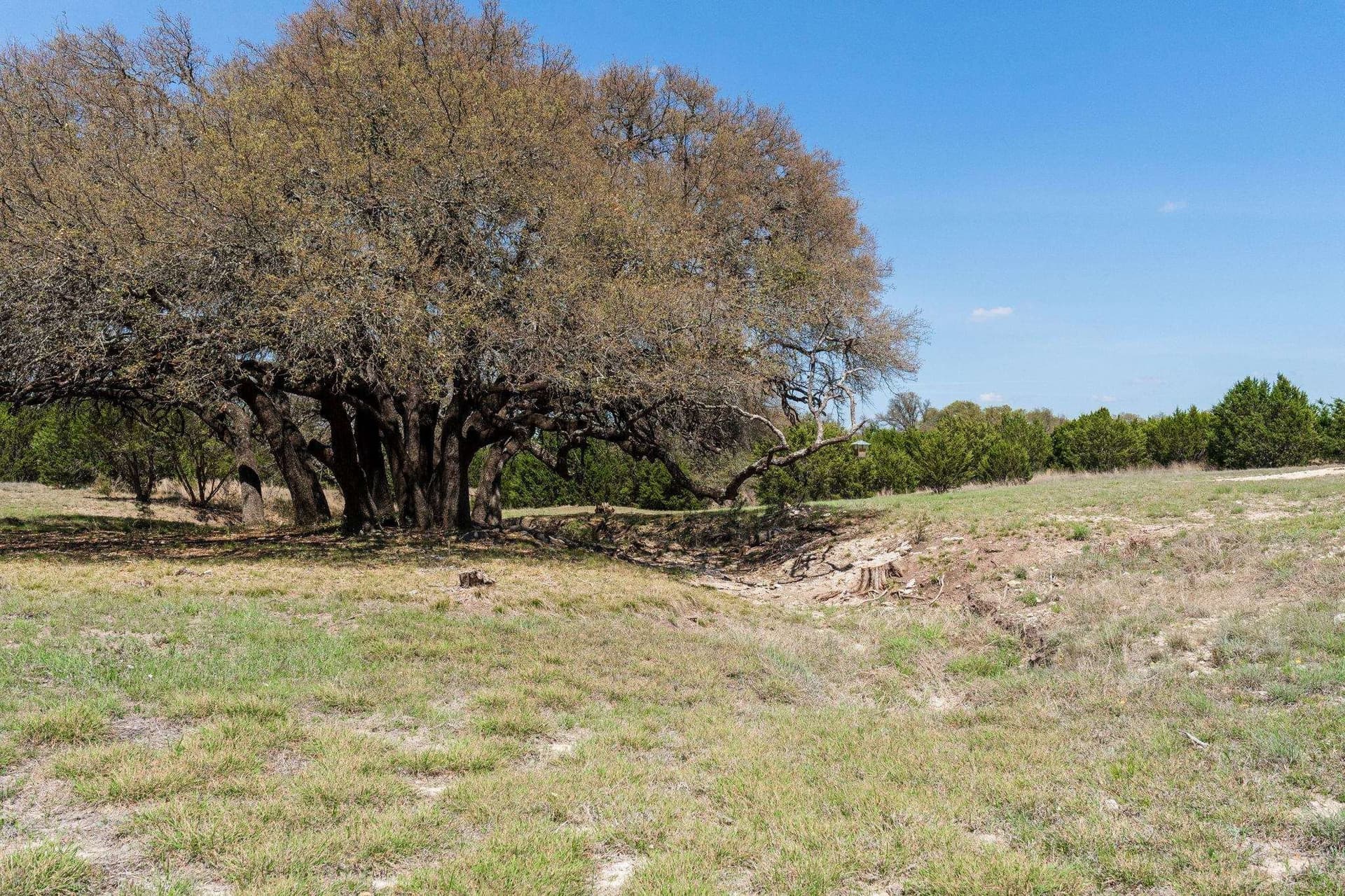 15.25 acres in Mills County - photo 38