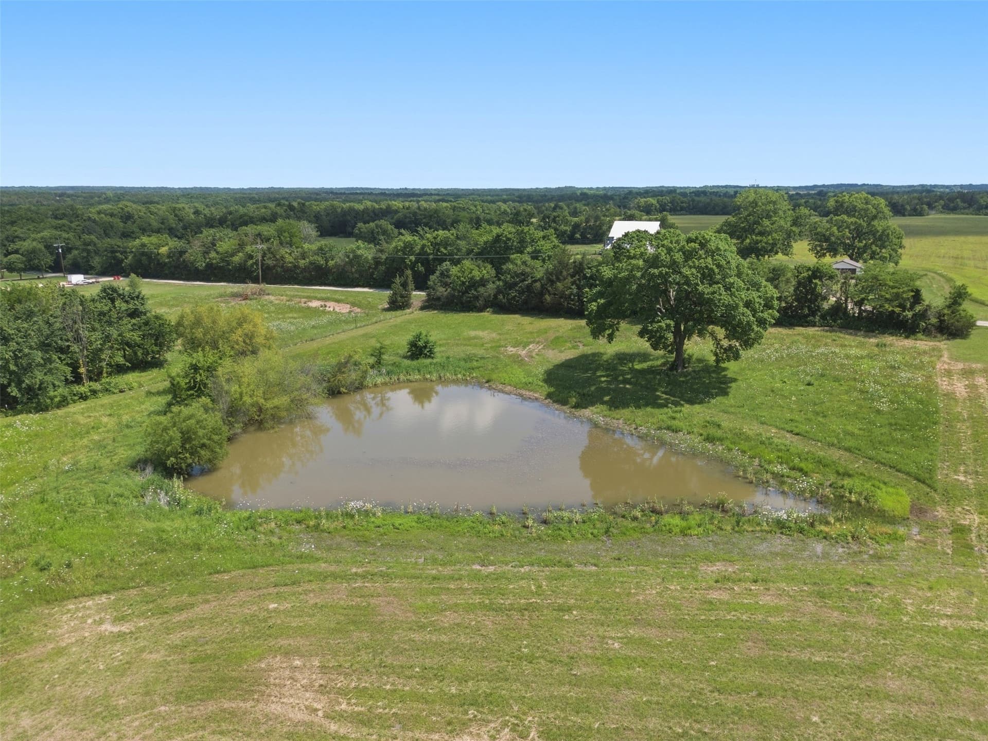 20 acres in Fannin County - photo 8