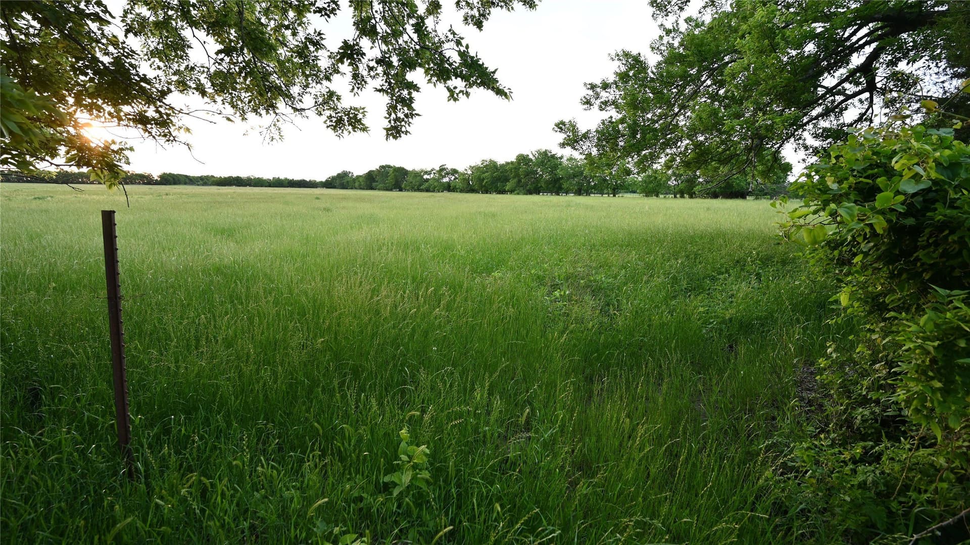 56.09 acres in Fannin County - photo 10