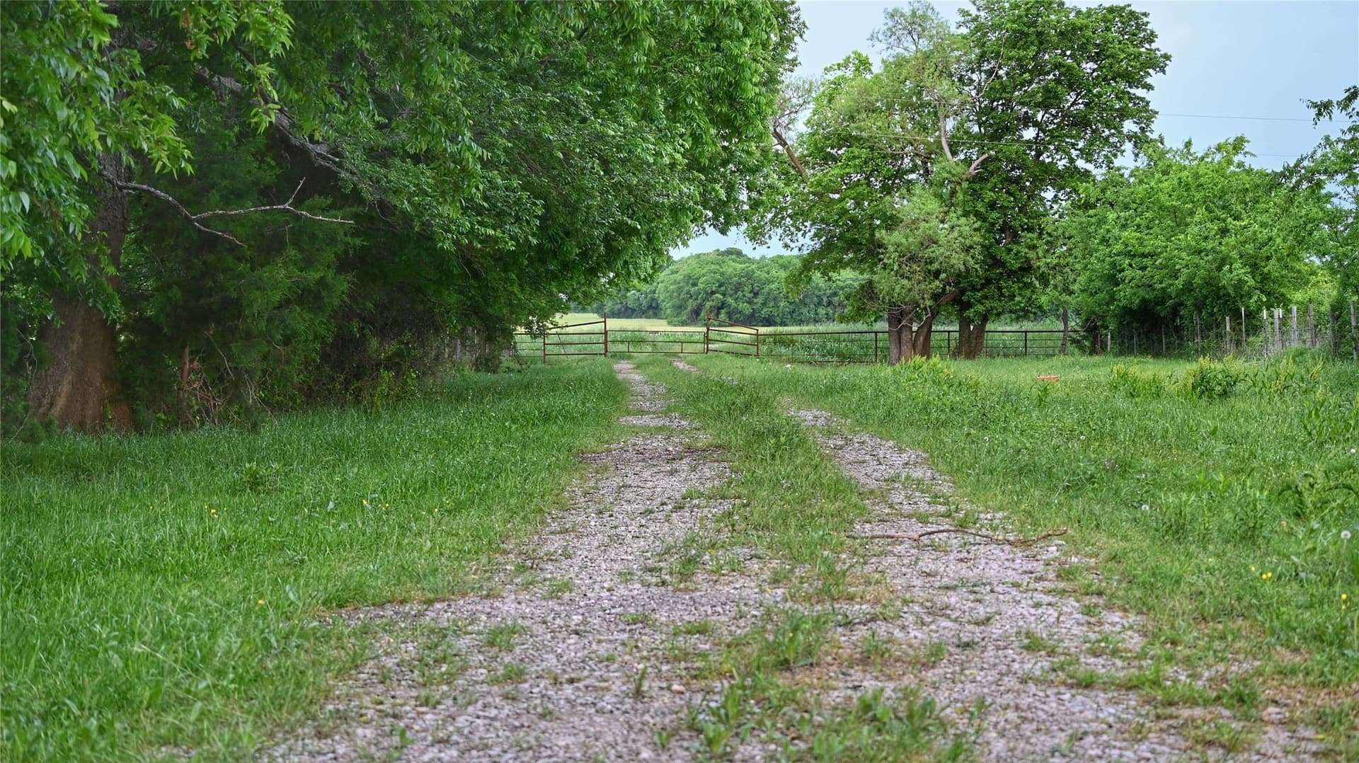 56.09 acres in Fannin County - photo 12