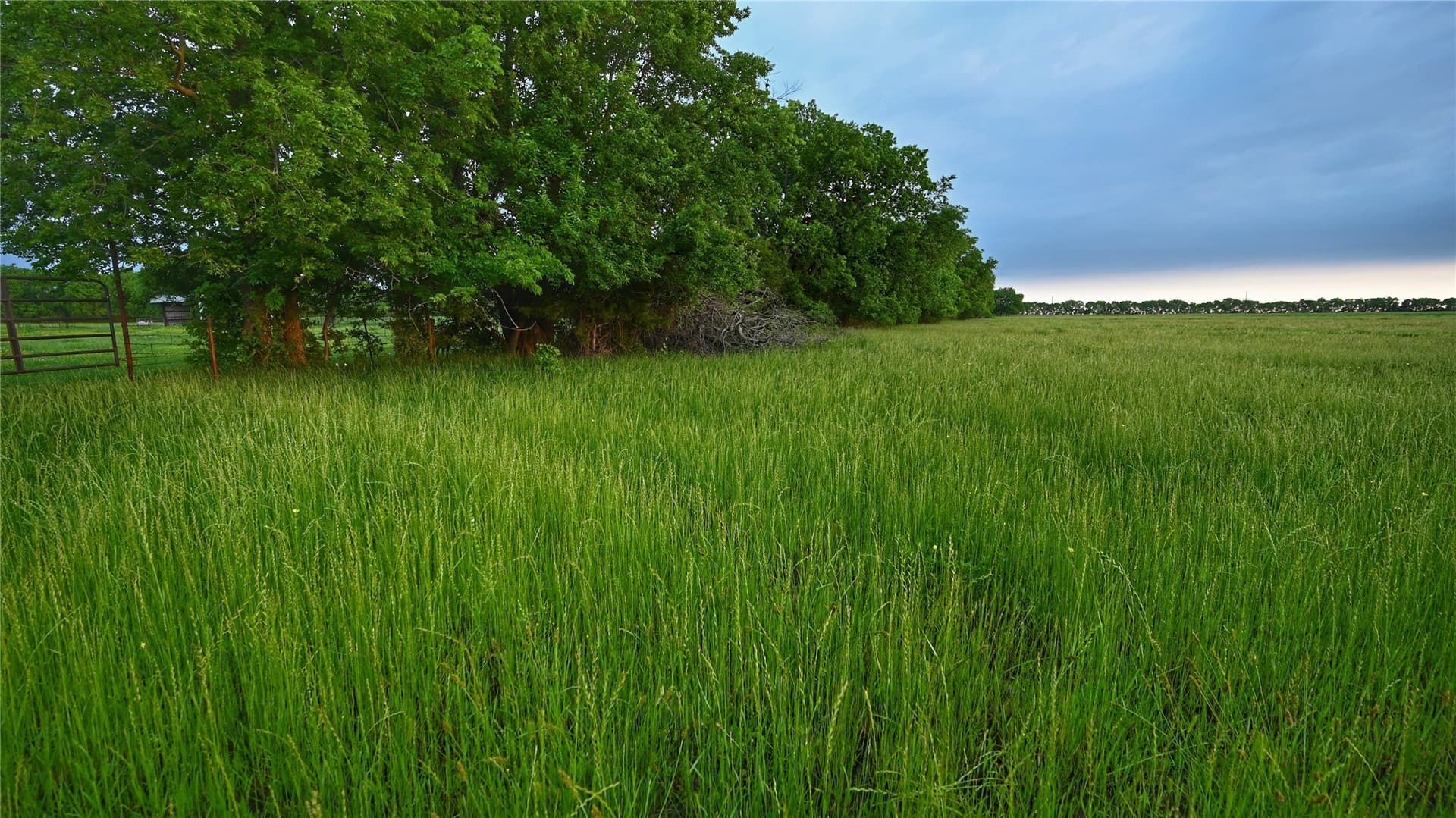 56.09 acres in Fannin County