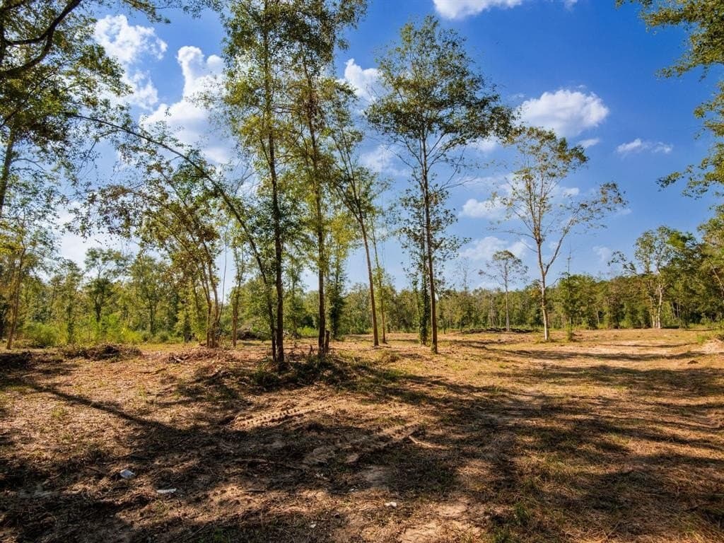 15.83 acres in Polk County gallery image 3