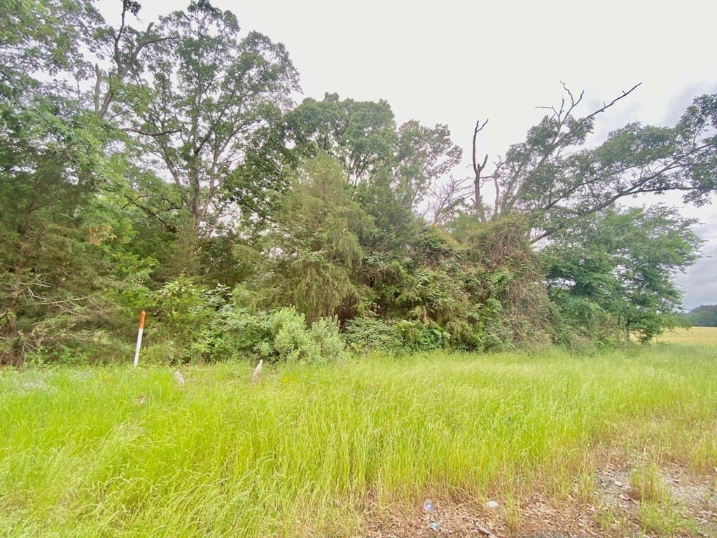 0.22 acres in Texas County gallery image 4