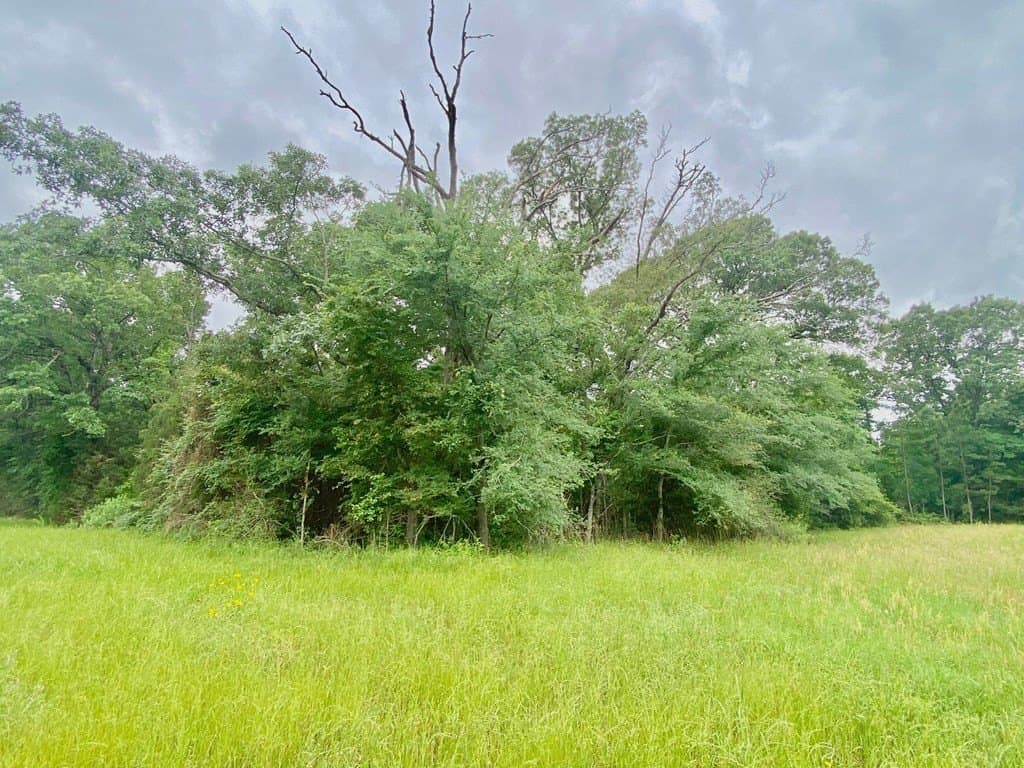 0.22 acres in Texas County gallery image 3