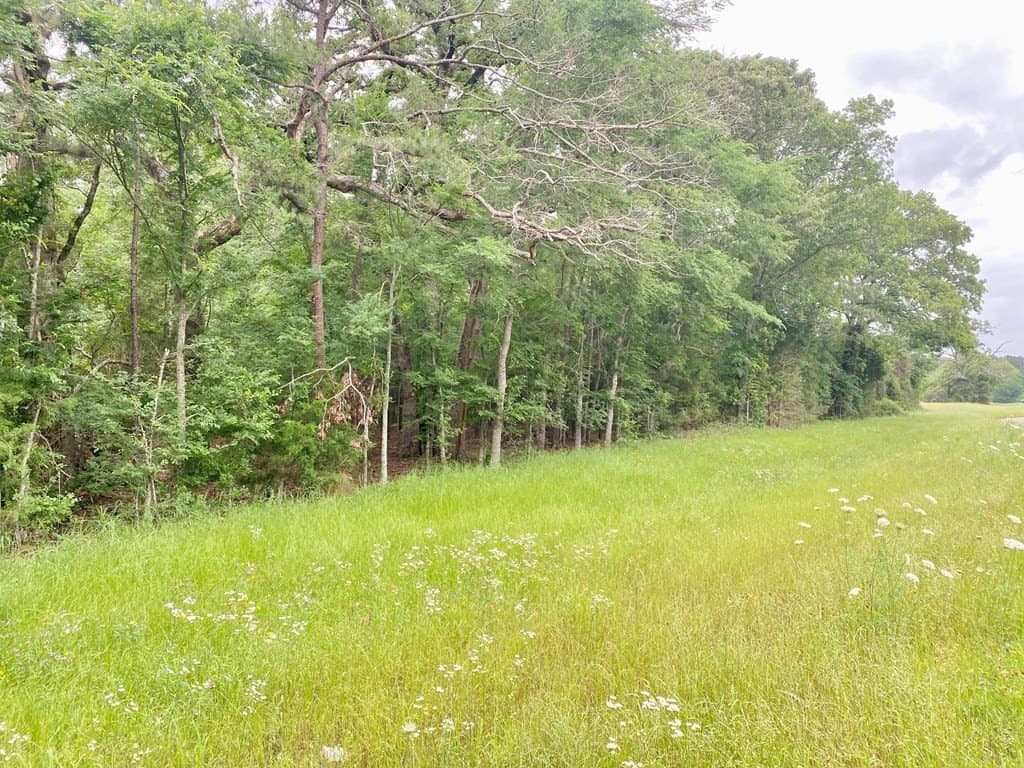 0.22 acres in Texas County - photo 7