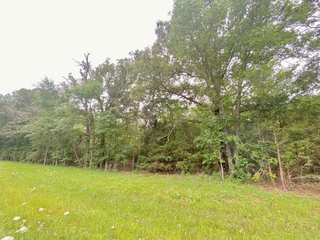 0.22 acres in Texas County featured view