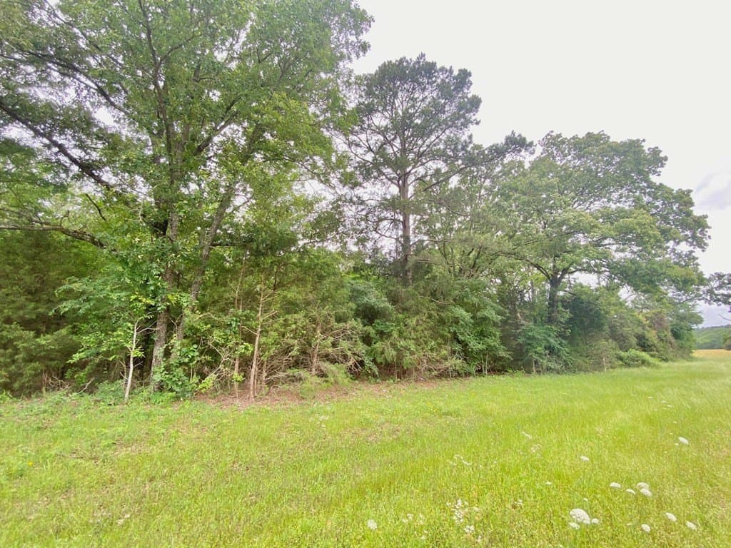 0.22 acres in Texas County - photo 6