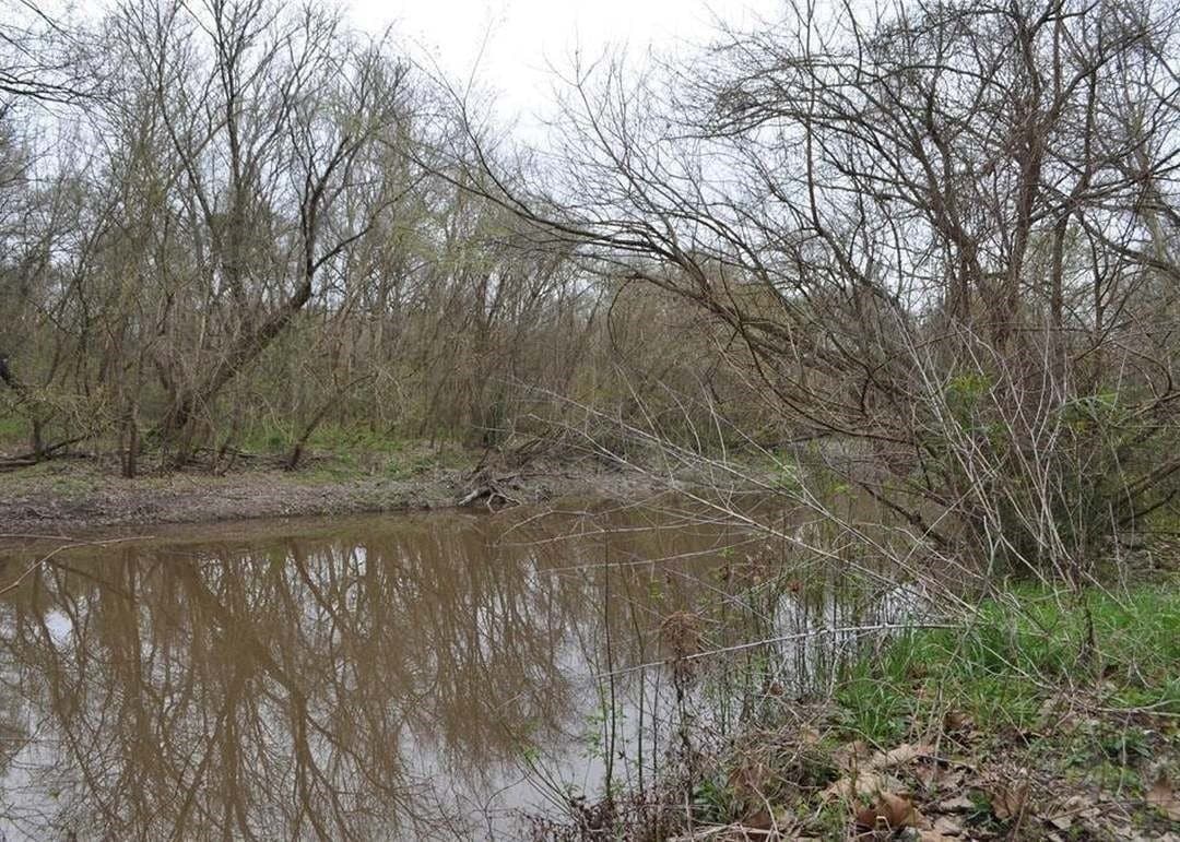 1.29 acres in Walker County - photo 4