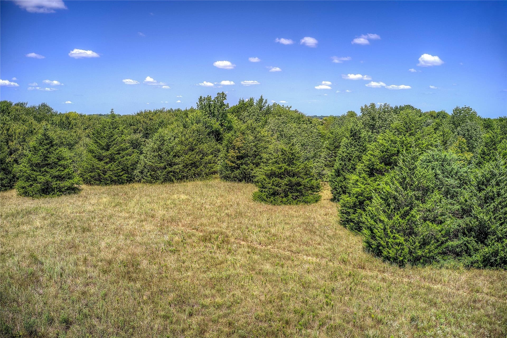 22 acres in Hunt County - photo 34