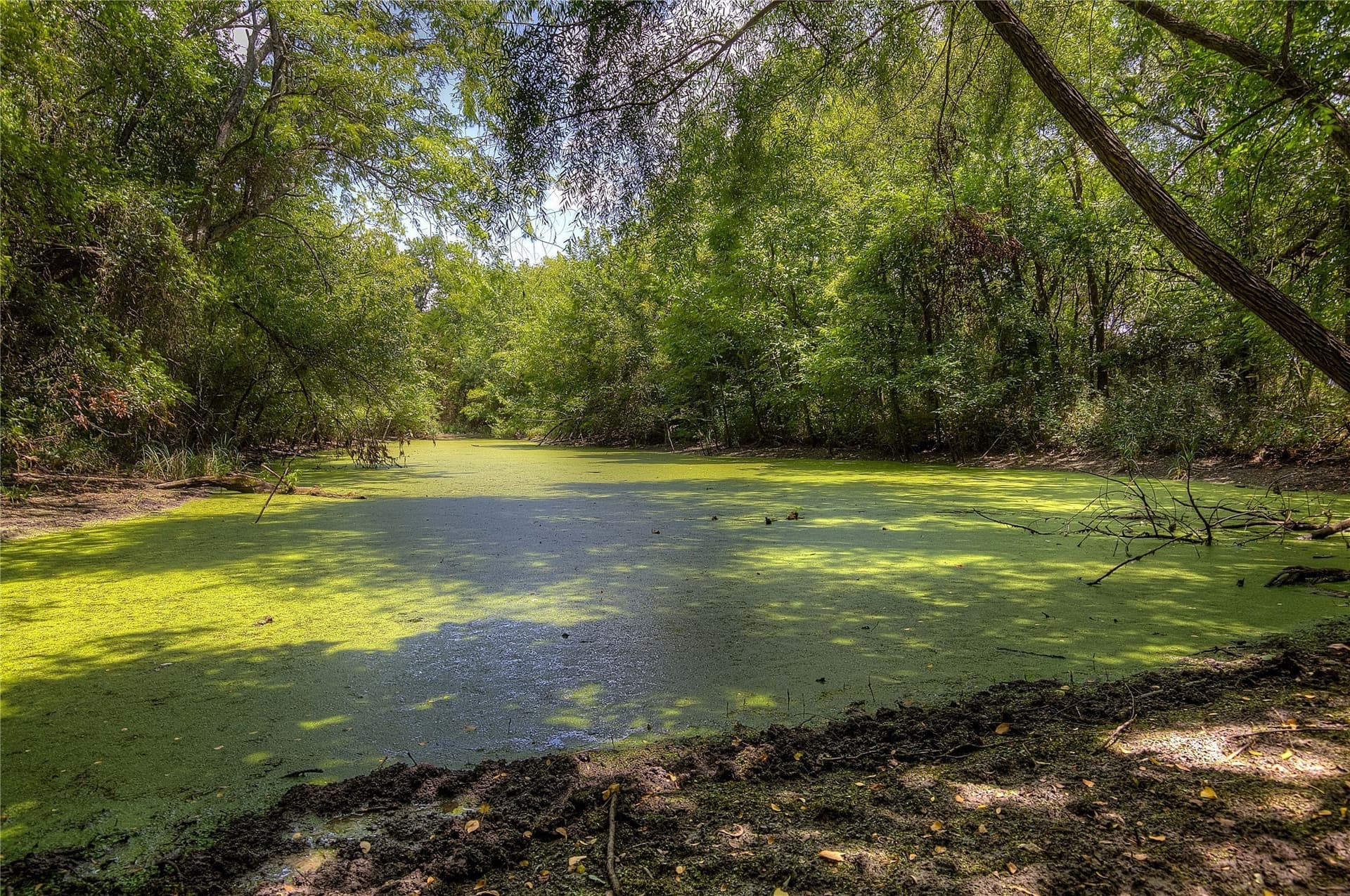 22 acres in Hunt County - photo 3