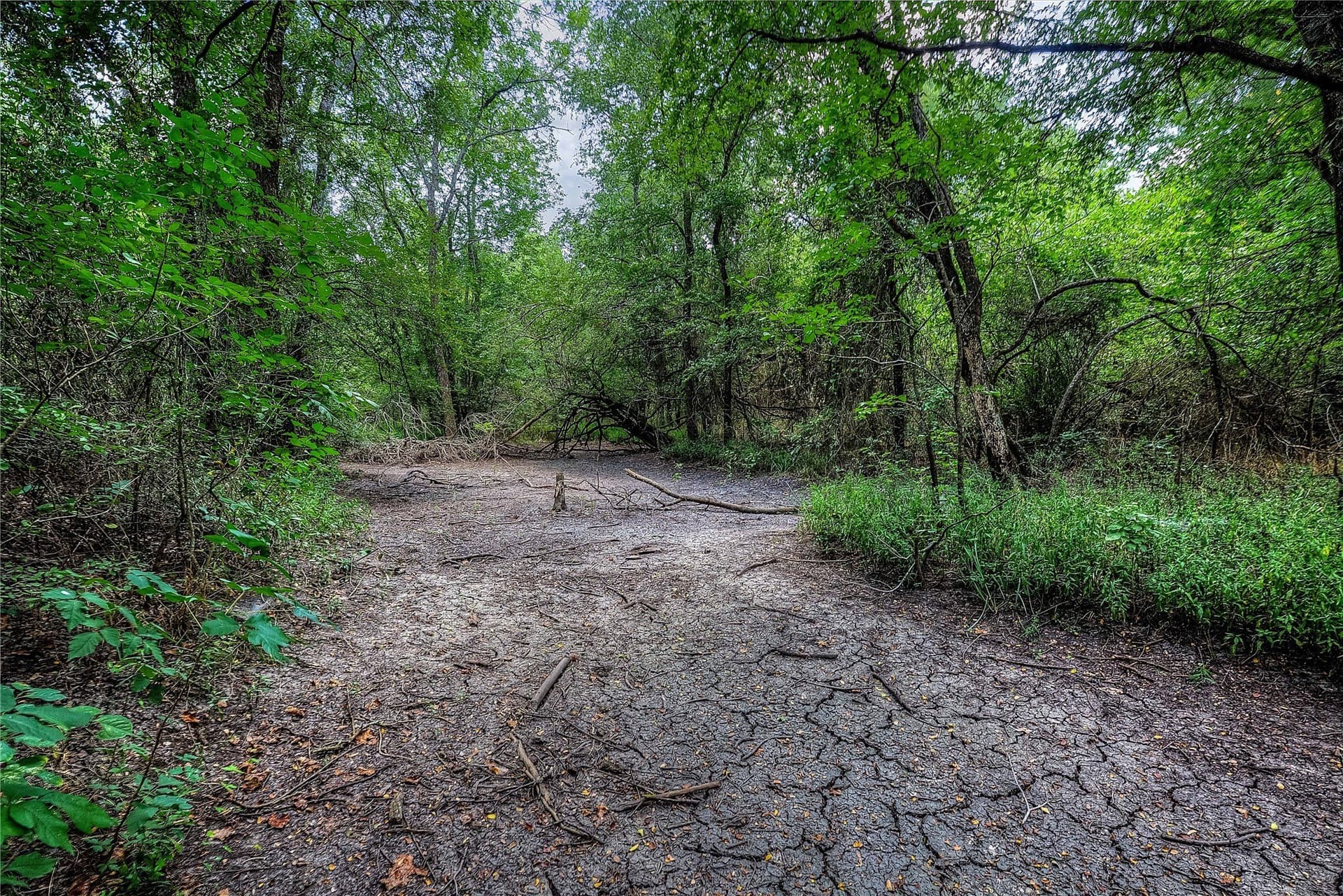 22 acres in Hunt County - photo 37
