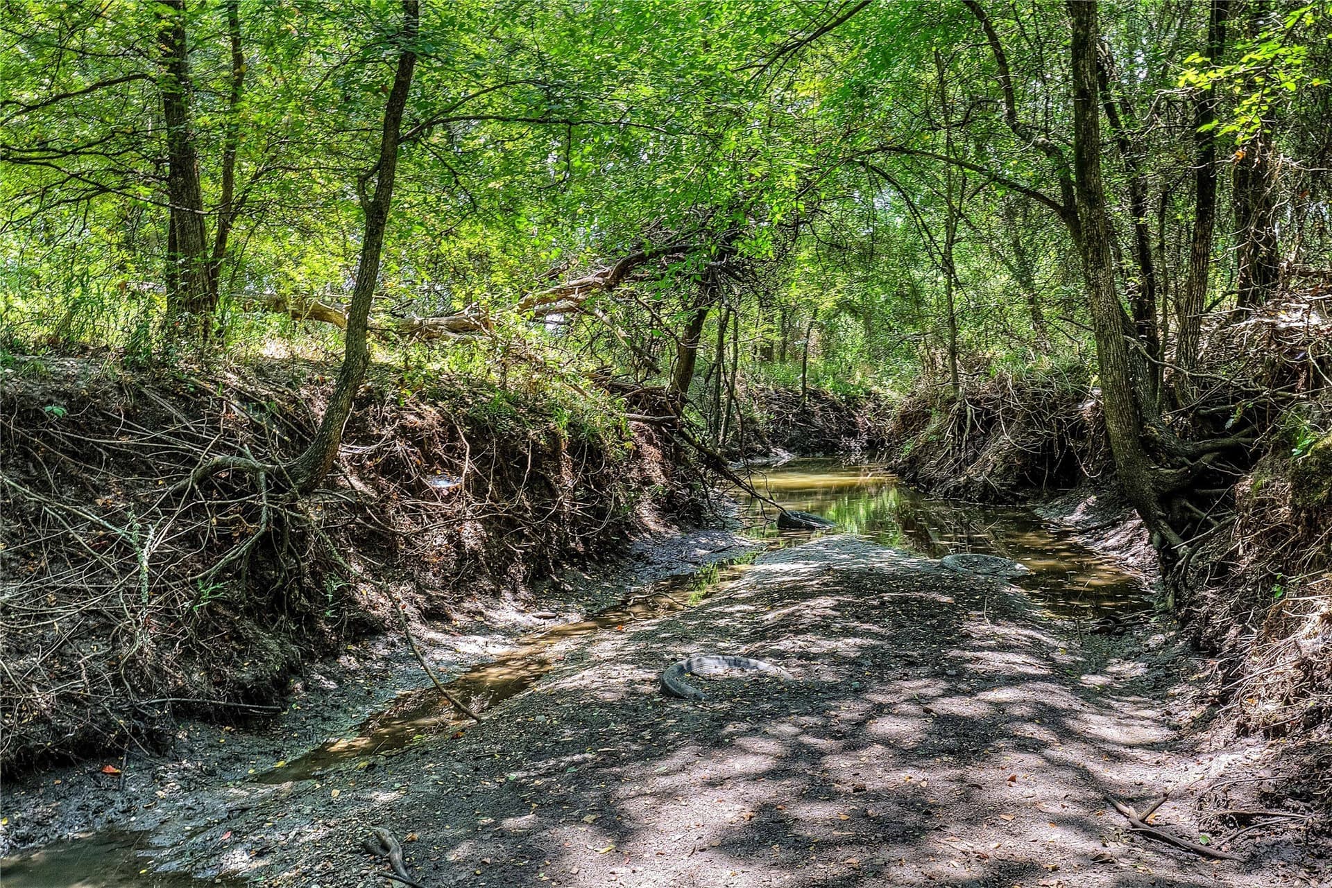 22 acres in Hunt County - photo 4
